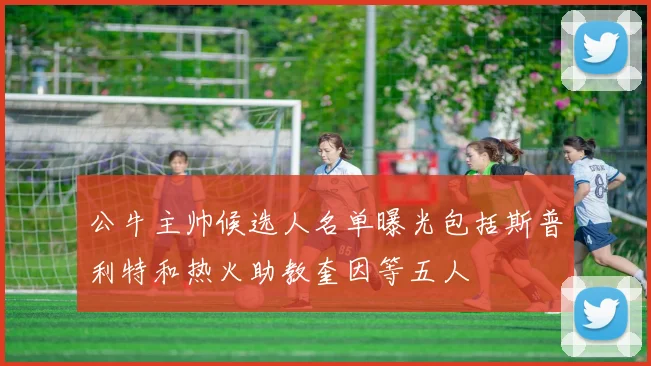 公牛主帅候选人名单曝光包括斯普利特和热火助教奎因等五人